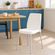 0072968600001-cadeira-vanda-branca-92053910-tramontina -7-